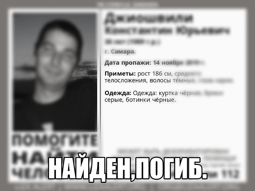 Поиск вели и волонтеры Фото: соцсети