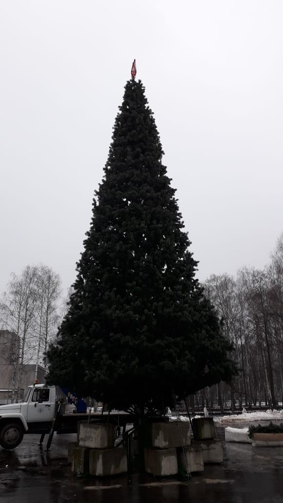 Фото: соцсети