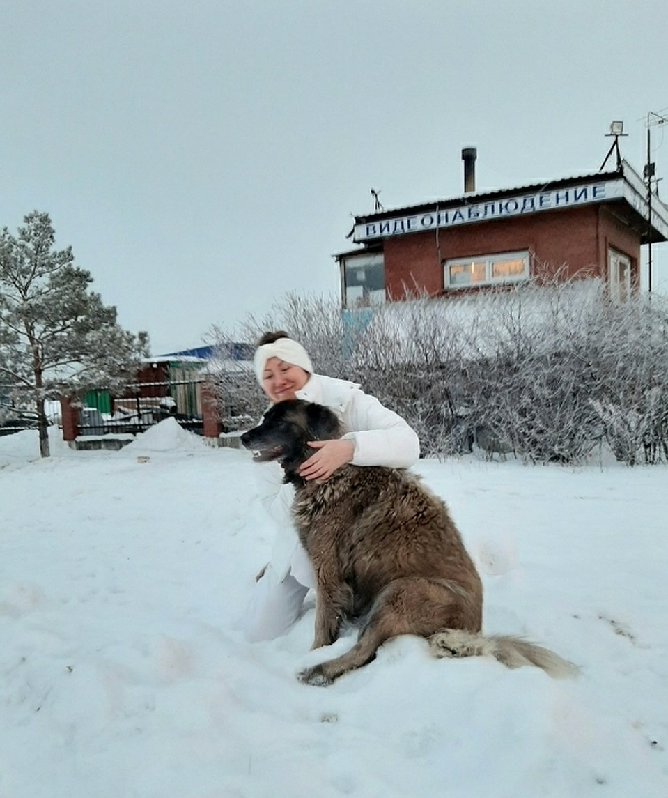 Постепенно друзей Мишки, которые прибежали вслед за ним, разобрали в добрые руки Фото: наш микрн. Солнечный