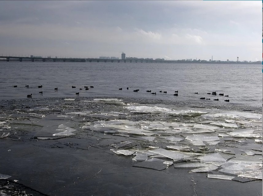 Птицы не бояться морозов, для них страшнее нехватка корма. Фото соцсетей