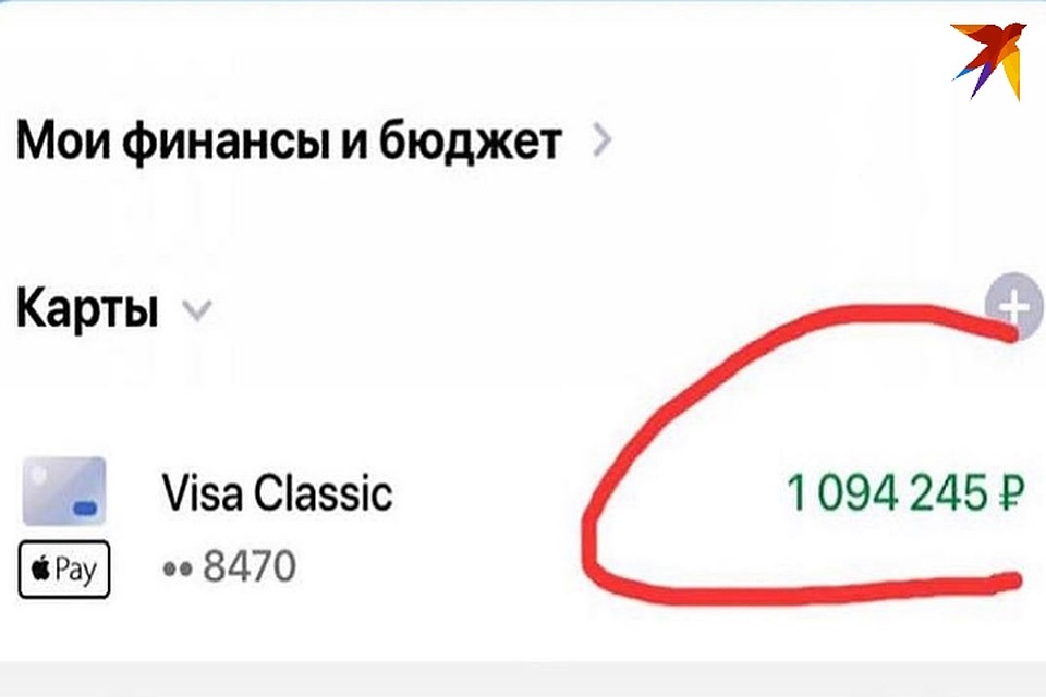 Приличную сумму потратят на лечение Софи. Остальное пойдет на траты приюта в целом