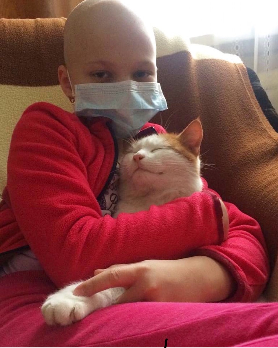 За сутки Даше собрали необходимое количество крови. Фото: instagram.com/__.__tigorevna__.__