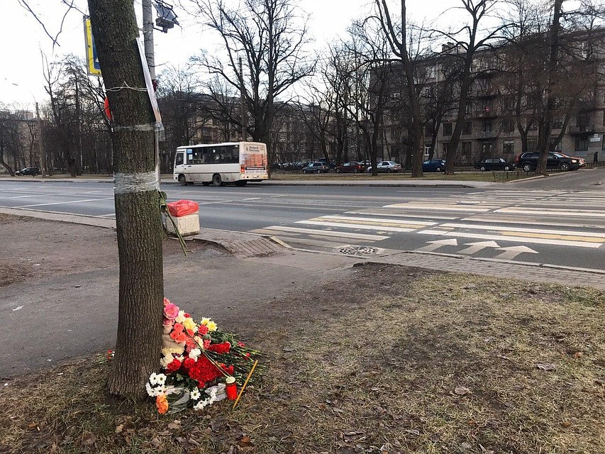 Иномарка буквально снесла школьников на пешеходном переходе на проспекте Тореза Фото: Олег ЗОЛОТО
