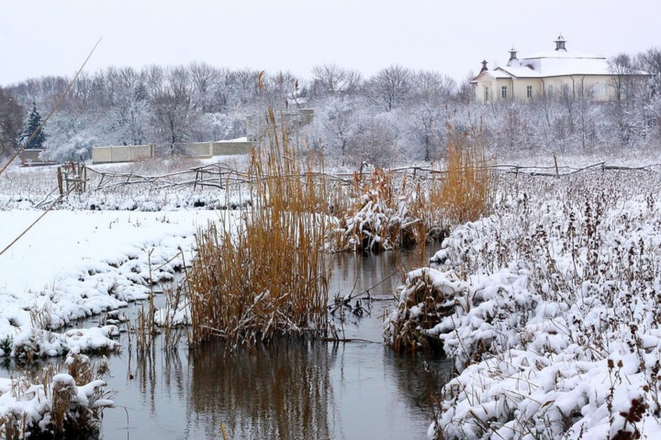 Прекрасное в простом. Фото: Илья Богатиков