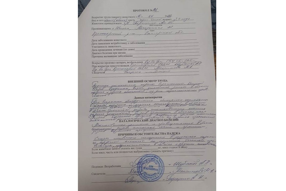 Заключение врача Фото: Личный архив