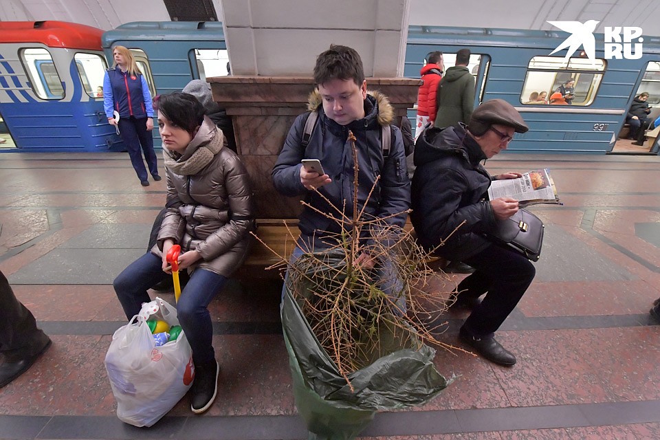 Чтобы сдать дерево на переработку, пришлось ехать в метро. Фото: Владимир ВЕЛЕНГУРИН