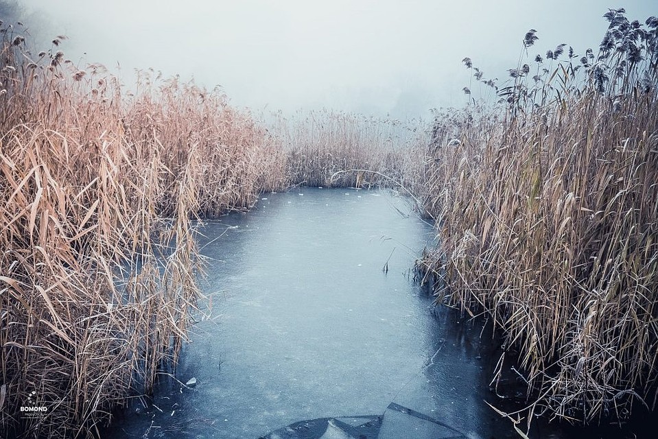 Фото Сергей Бобр.