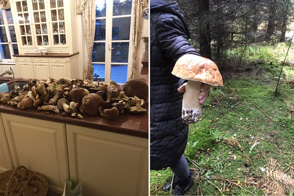 …и в своей «Беларушчыне» в Люксембурге, куда приезжает в грибной сезон. Фото: Личный архив