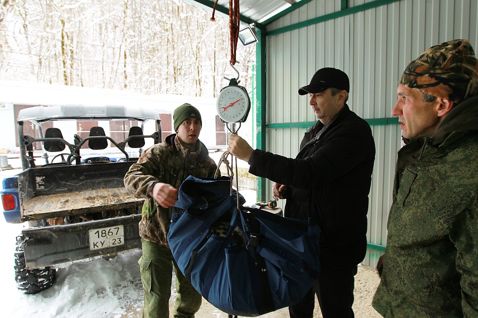 Баксан в возрасте 18 месяцев уже весит 39 килограммов. Фото: Сочинский национальный парк.