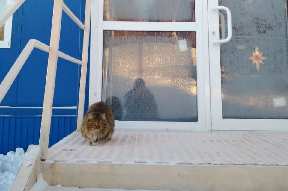 ЧС-ка провожает и встречает спасателей на пороге базы. Фото: Сергей Журавлев.