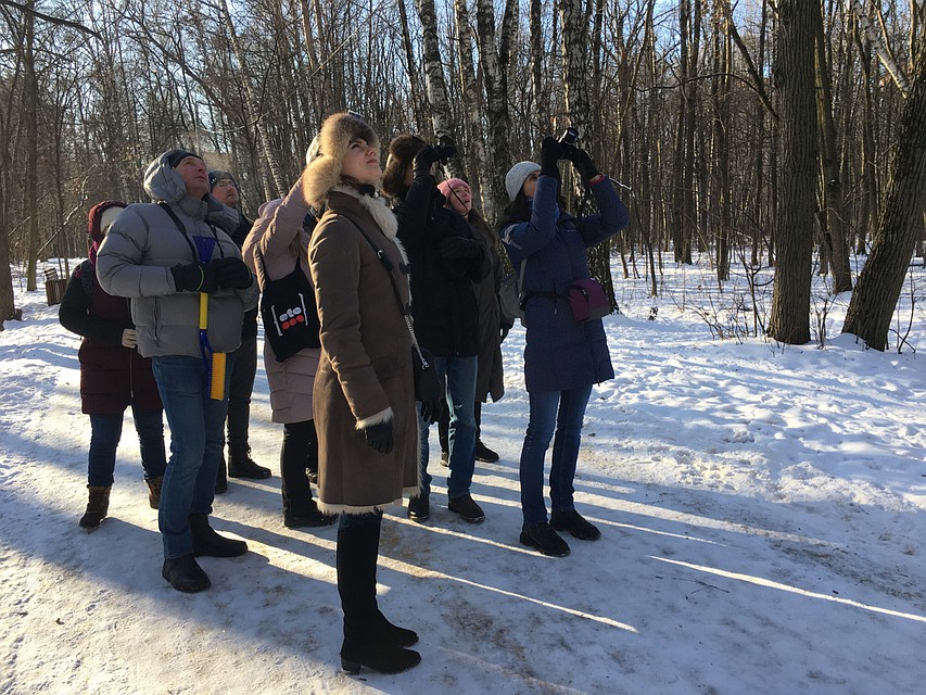 Со стороны и, правда, выглядит необычно. На парковой аллее перед пустой скамеечкой стоит группа людей с биноклями и, не шевелясь, смотрит в одну сторону. Как будто это флешмоб такой. Фото: Павел КЛОКОВ