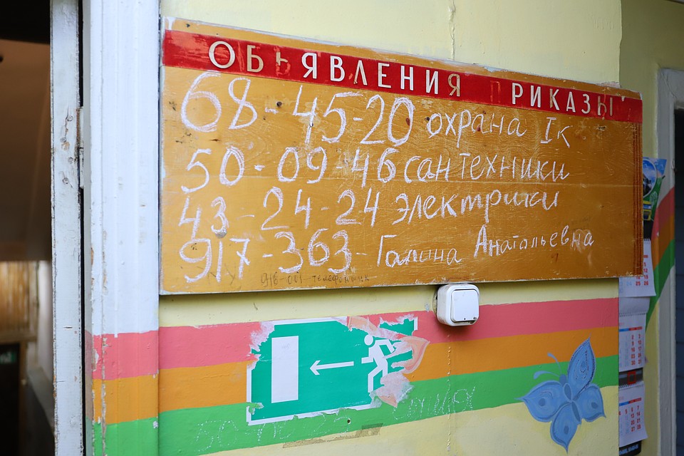 Фото: Амир Закиров