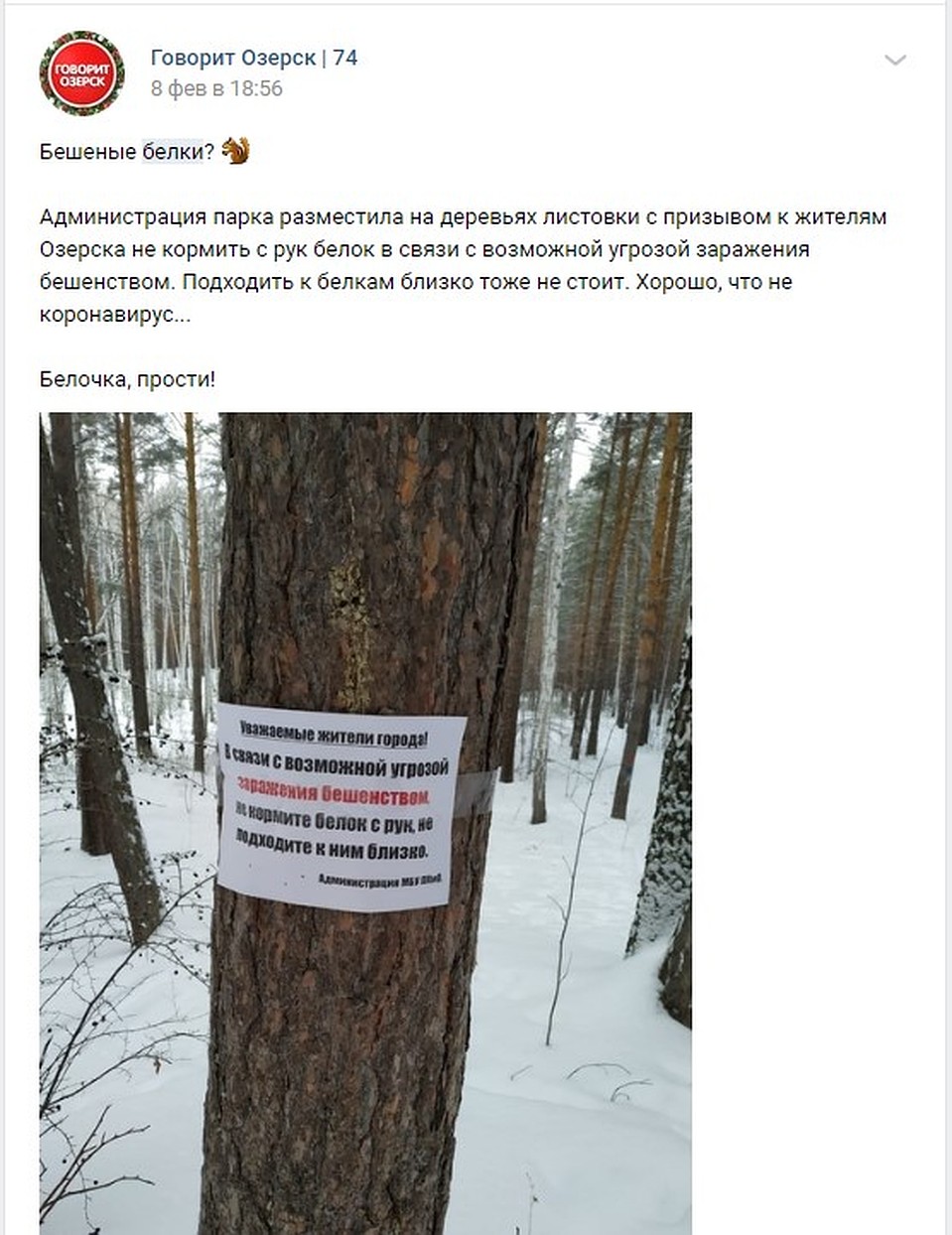 Фотографию объявления разместили в соцсетях. Фото: vk.com/«Говорит Озерск | 74»