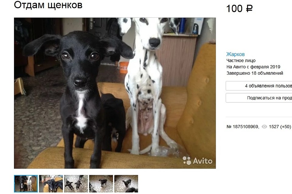 Фото: Авито.