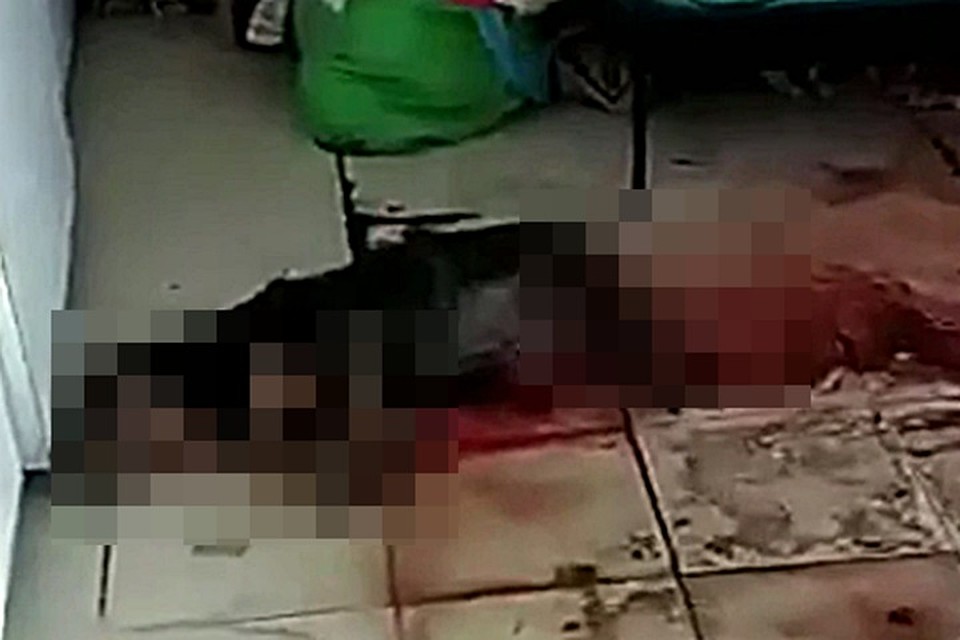 Помимо того, что терьер покусал женщину, он ещё и досмерти загрыз её собаку. Фото: vk.com/typodar