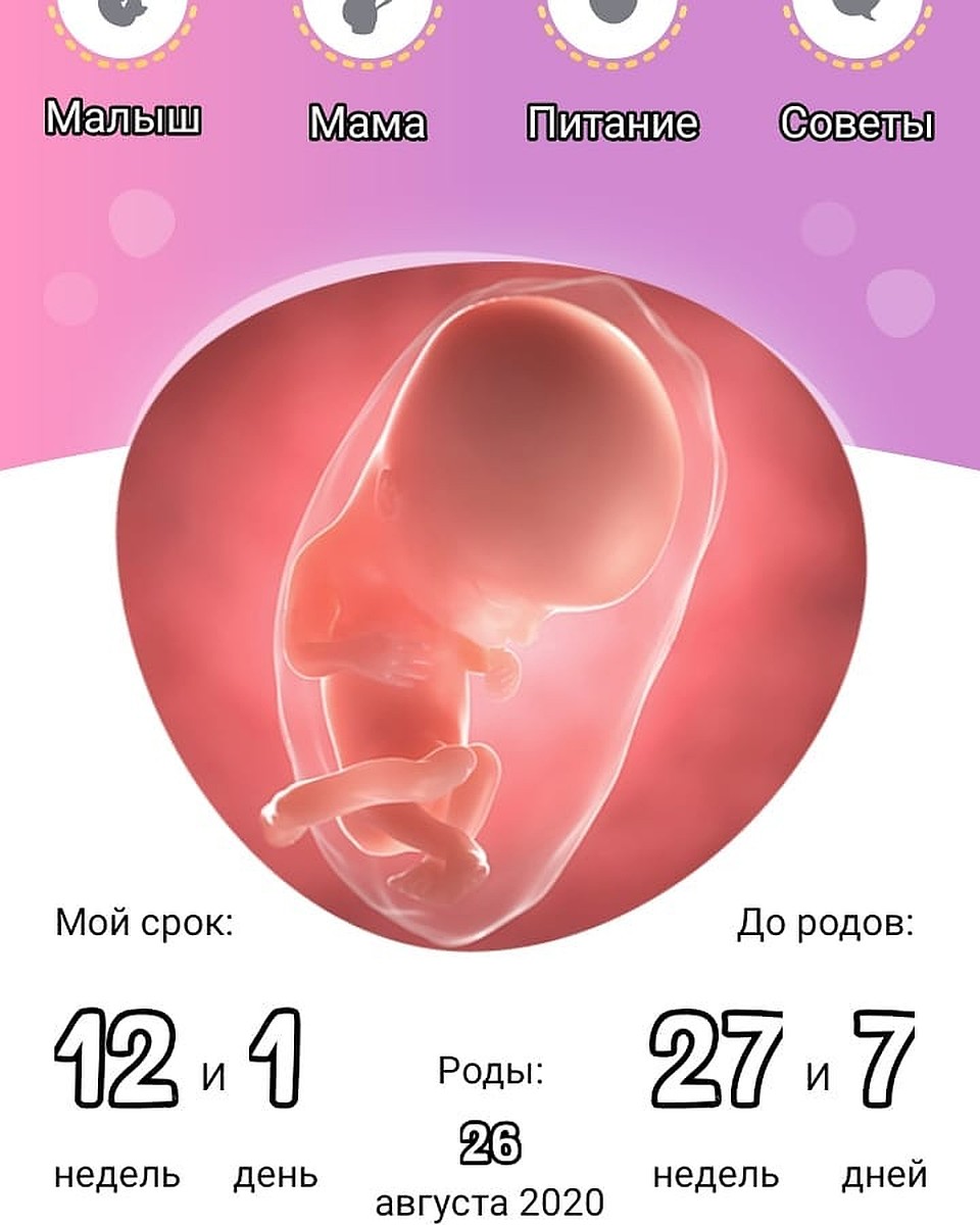 Такие изображения Вика выкладывает в соцсети Фото: соцсети