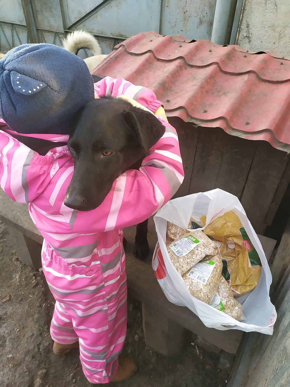 Фото: "Шанс".