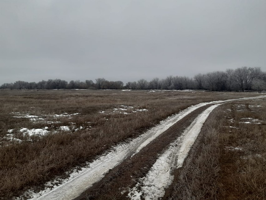 Фото СУ СКР по Саратовской области
