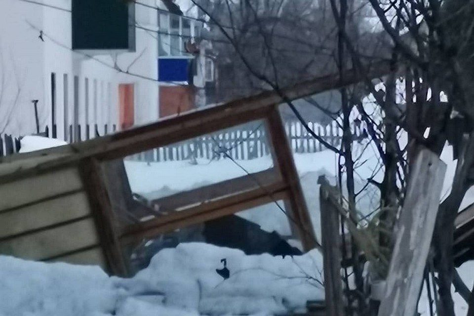 фото: соцсети