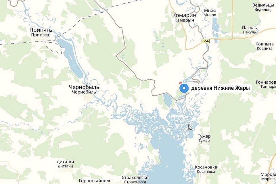 Нижние Жары - самая южная точка Беларуси. Фото: скриншот Яндекс.Карты