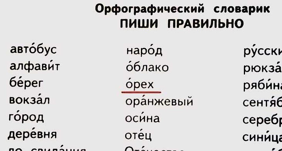 Орех! Ударение, похоже, поставил какой-нибудь «орех» царя небесного... Фото: Соцсети.