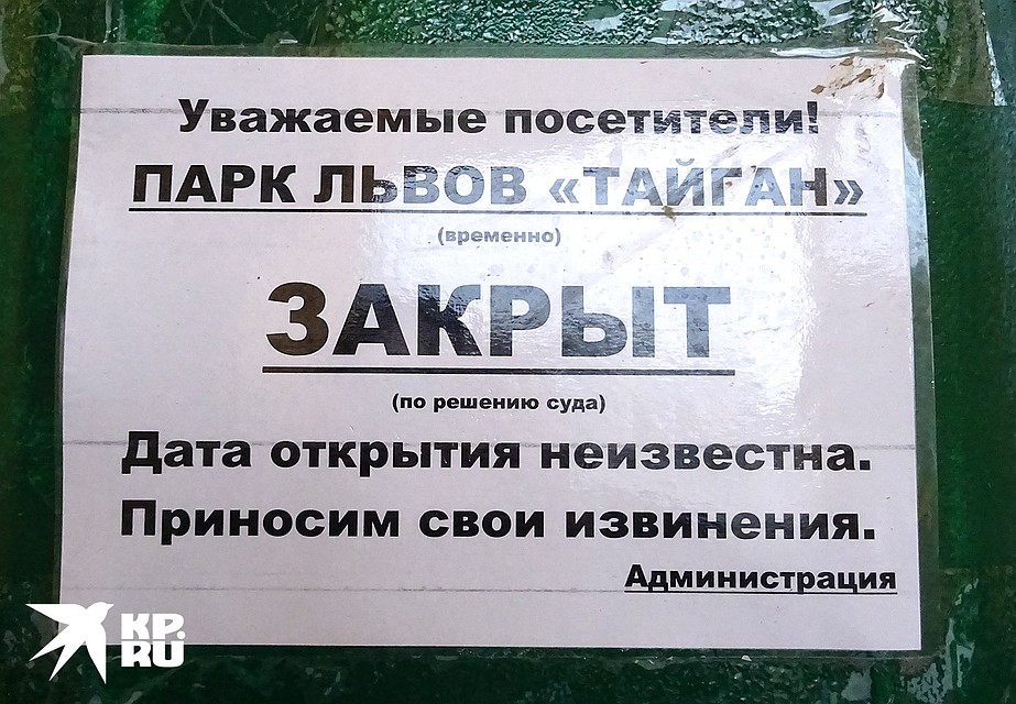 С декабря прошлого года «Тайган» закрыт до устранения нарушений. Фото: Наталья ВАРСЕГОВА