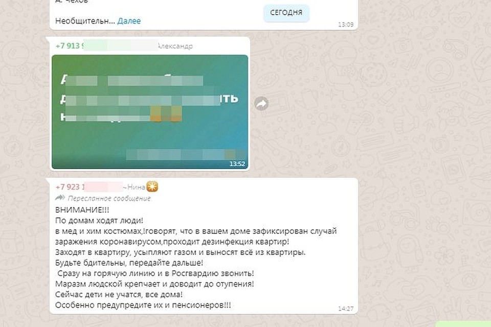 Сообщение новосибирцы получают в чатах.