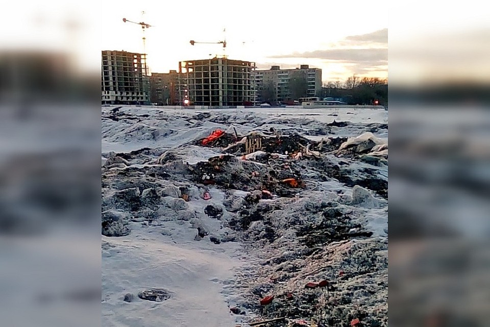 Такая картина не устраивает местных жителей. Фото: Татьяна Женькина