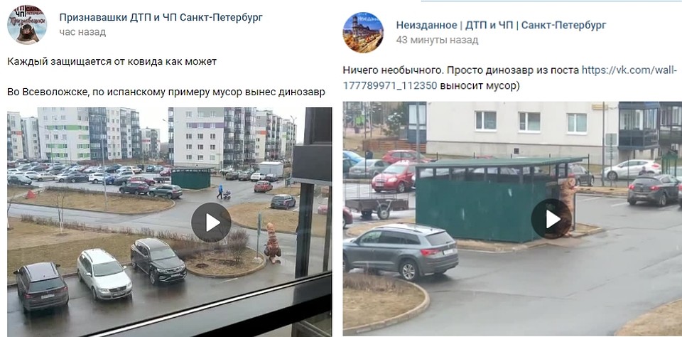 Забавное видео подарили соцсети. Фото: СОЦСЕТИ
