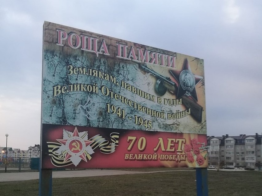 Деревья высадили к 70-летию Победы. Фото Юрия Сотникова