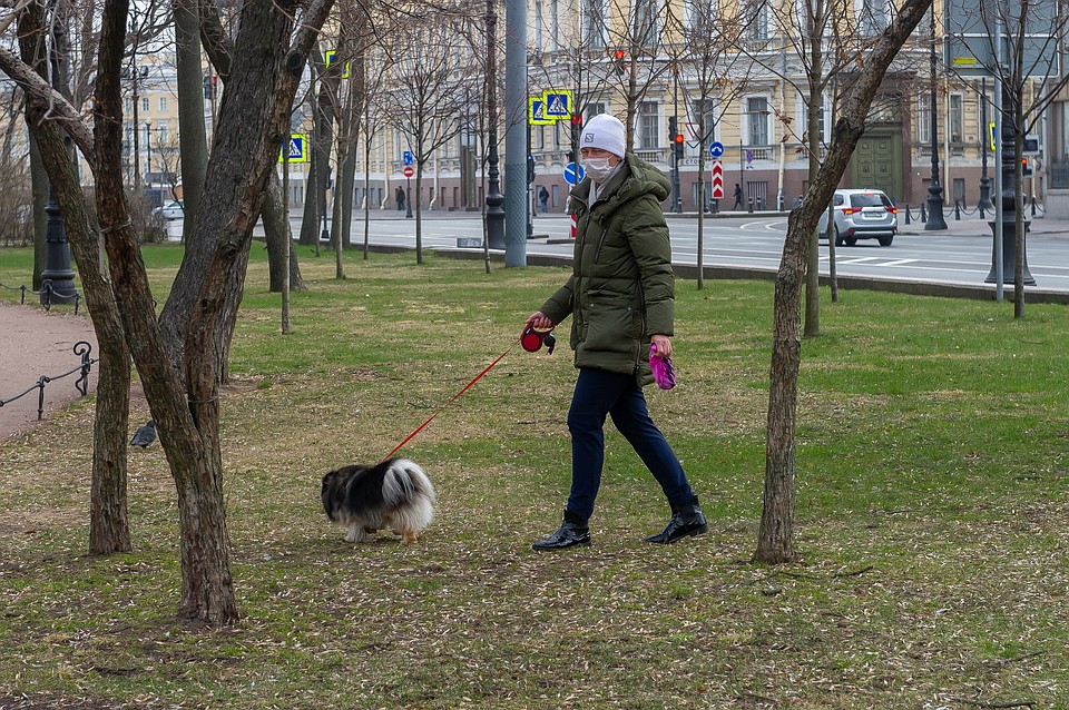 Даме приходится выгуливать собачку в саду Фото: Олег ЗОЛОТО
