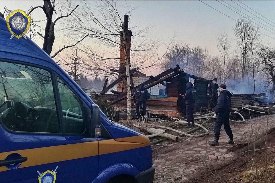 Возбуждено уголовное дело, идет следствие. Фото: СК.