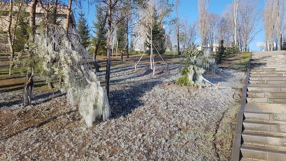 Удивительное зрелище. Фото: Андрей Ващенко
