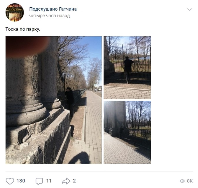 Грустную новость опубликовали в соцсетях. Фото: vk.com/gtnstory