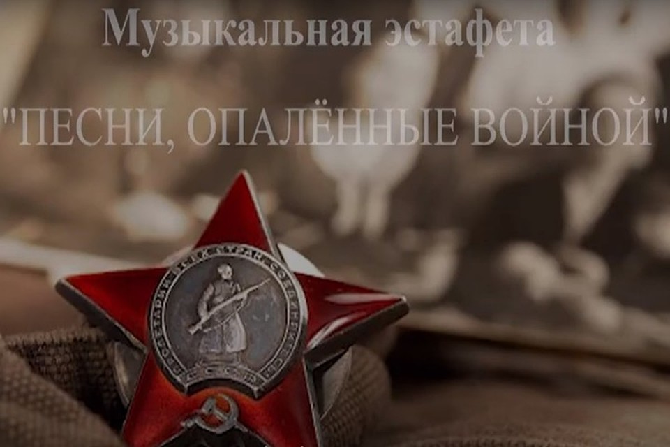 Проект стал истинно народным. Фото: архив Елены Романенко