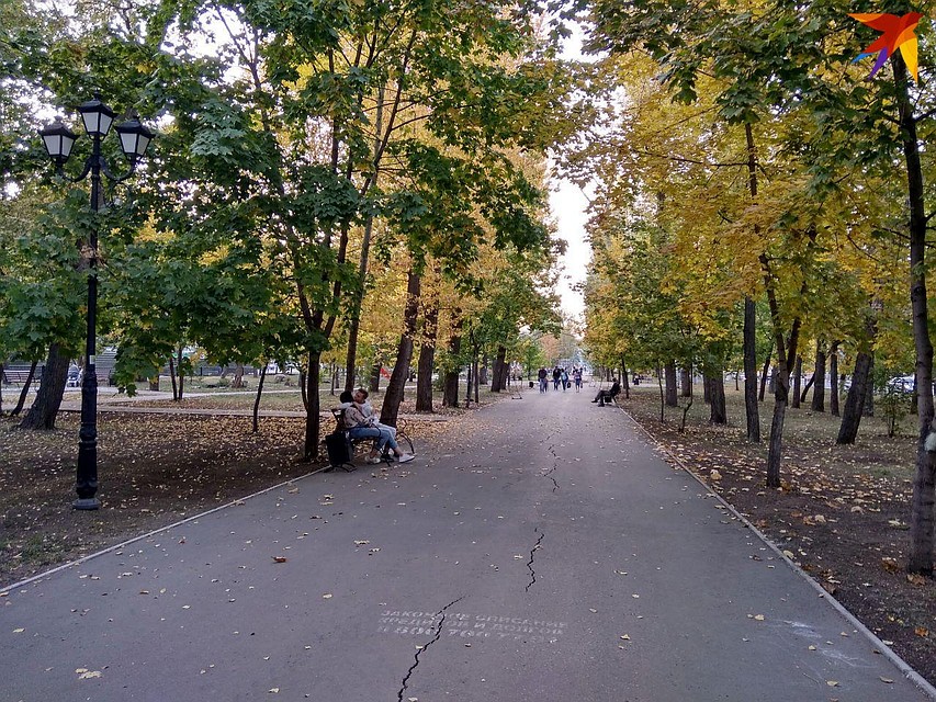 Проспект 50 лет Октября Фото: Екатерина Семенова