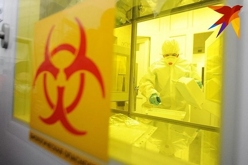 В лабораториях ежедневно делают сотни исследований на COVID-19 Фото: Алексей БУЛАТОВ