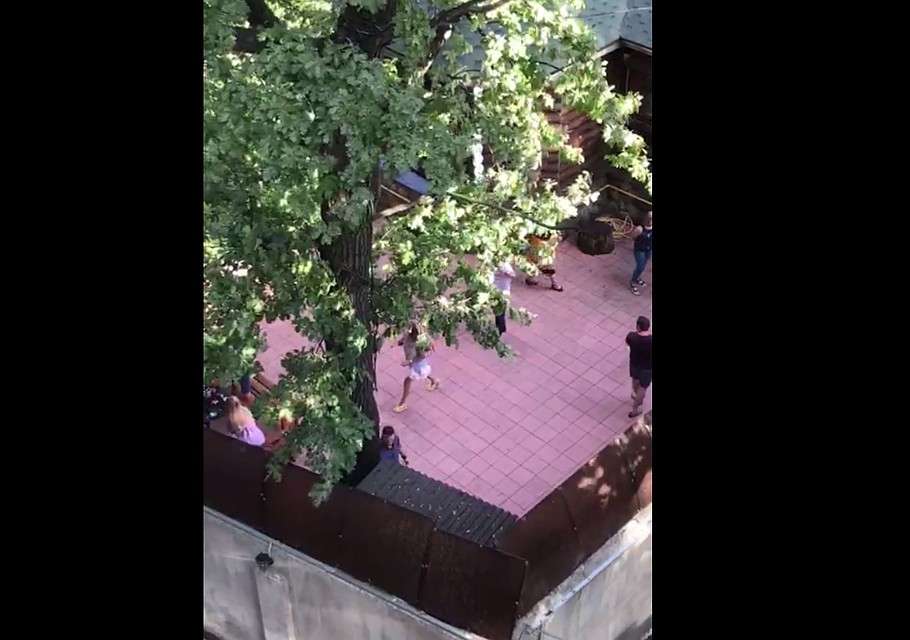 Окна жилого дома выходят как раз на двор коттеджа, который каждый день арендуют новые компании людей Фото: принтскрин видео.