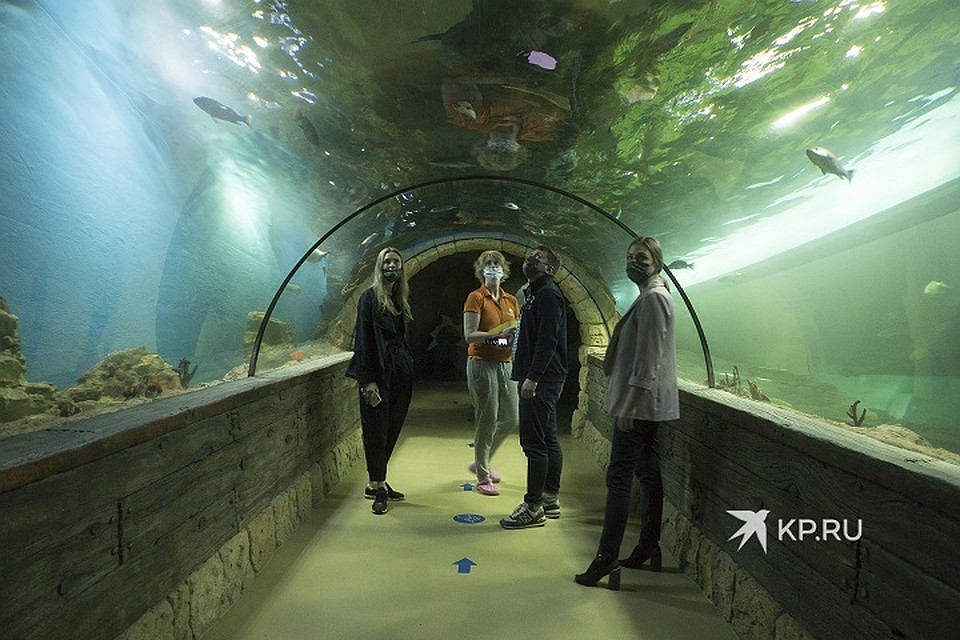 В таких туннелях складывается ощущение погружения под воду Фото: Алексей БУЛАТОВ