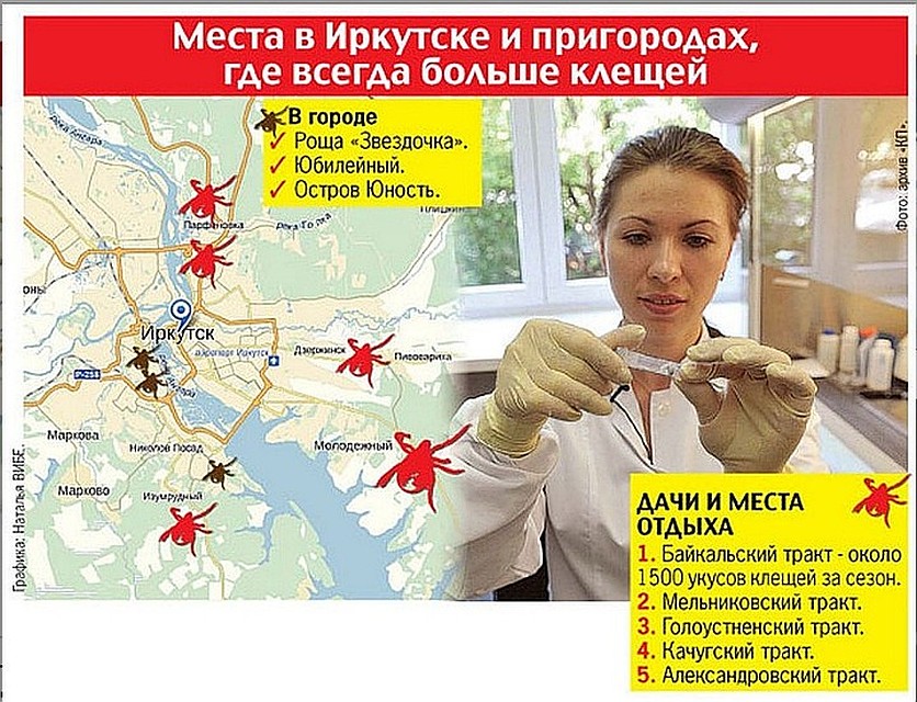 Дачи под Иркутском, где всегда водятся клещи. Фото: Наталья ВИБЕ