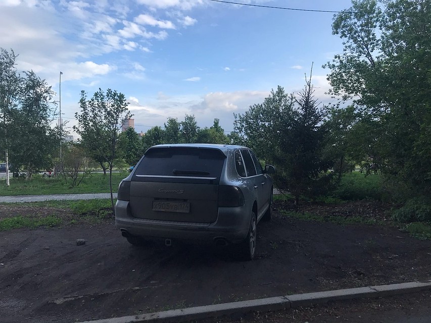 Местный "герой". Ему тут удобно. Фото: Инна КУМЕЙКО