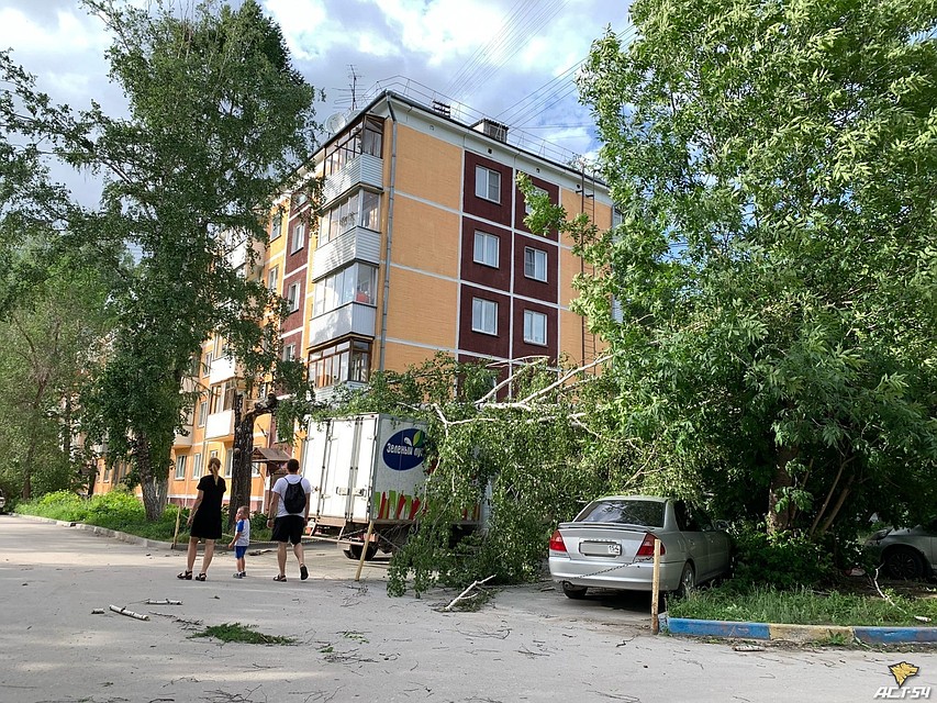 Деревья валились на авто. Фото: Новосибирская служба эвакуации «АСТ-54»
