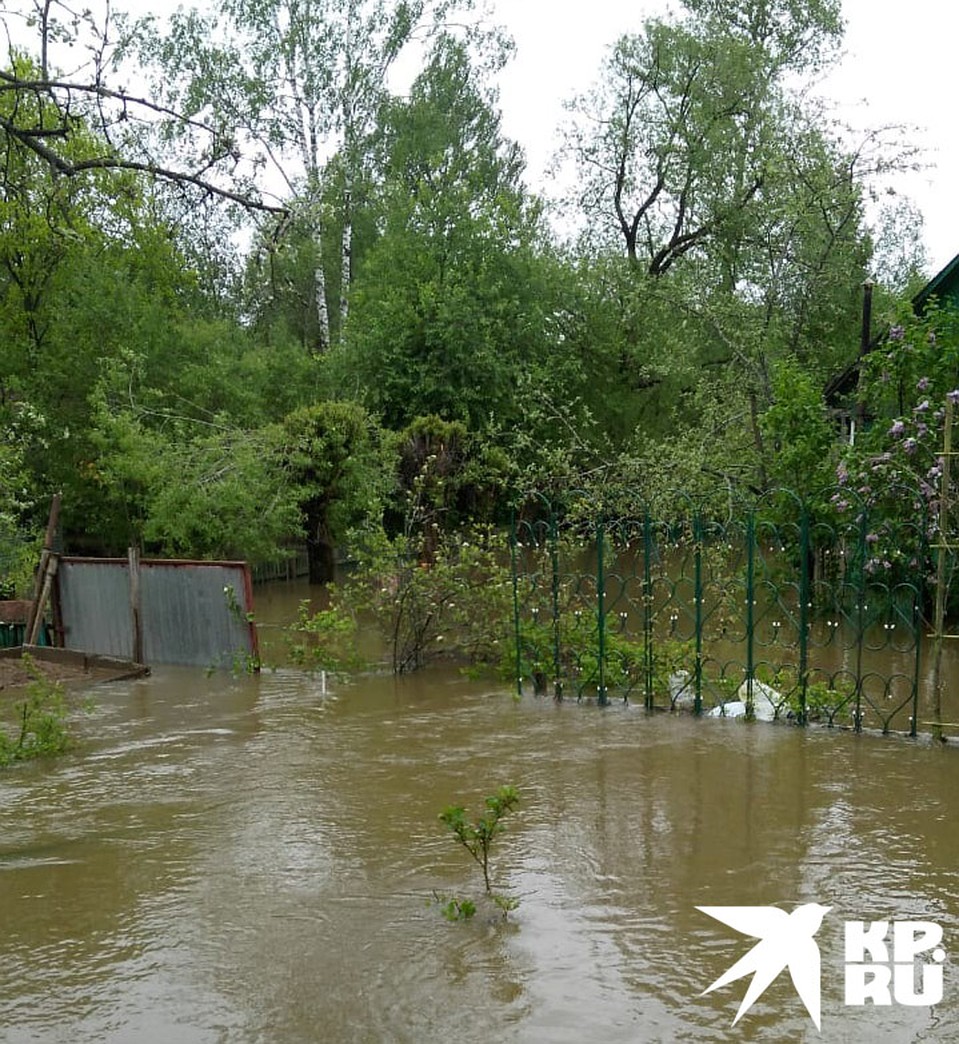 Местные жители говорят, что много раз жаловались в местную администрацию. Но проблему никто не решил. Фото: предоставлено очевидцем