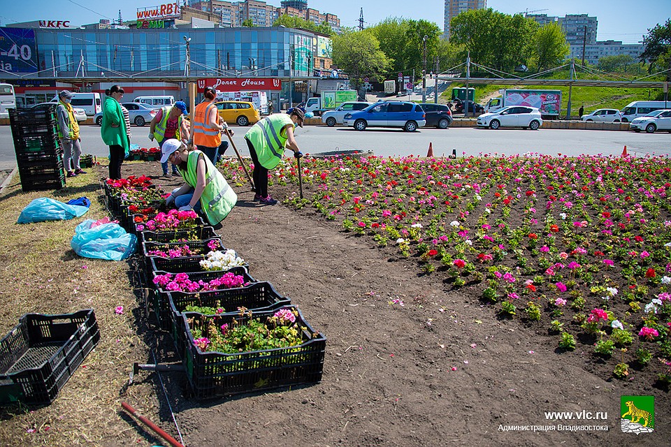 Над цветником трудились специалисты предприятия «Содержание городских территорий». Фото: сайт администрации Владивостока