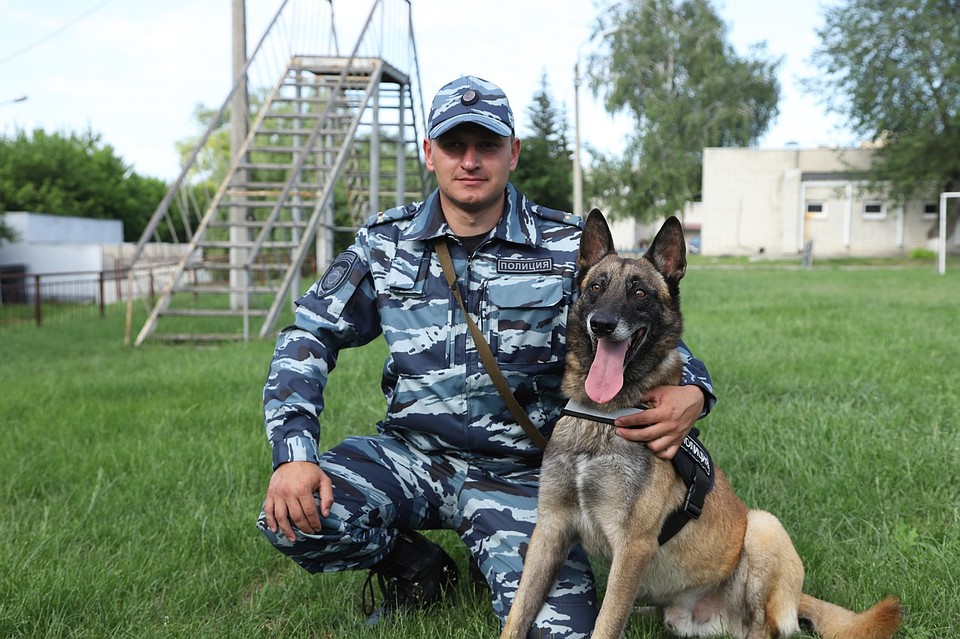 Служебная собака Тор со своим наставником Александром Куксовым. фото из архива пресс-службы УМВД России по Белгородской области.