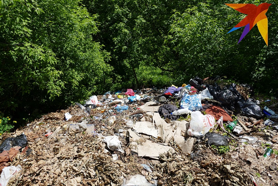 Фото сделано на склоне оврага в центре Касимова - жители Селизово и других сел этого не хотят. Фото: Павел АВЕРИН