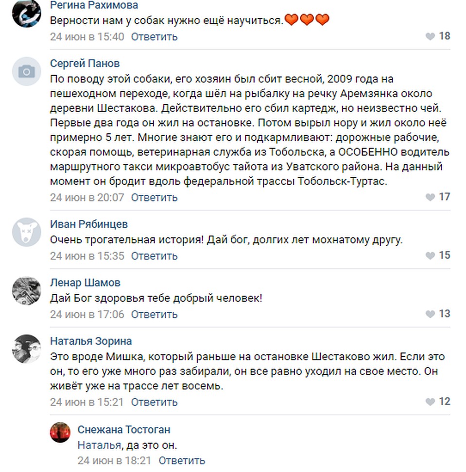 Тоболяки обсуждают историю местного Хатико. Скриншот