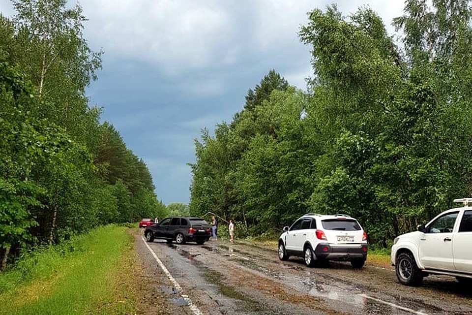 Преграда из деревьев заставила остановиться несколько машин. Фото: Владимир Волков