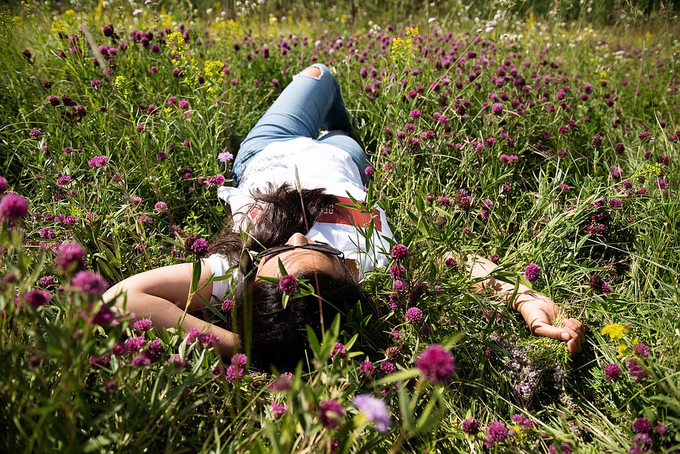 Вокруг глэмпинга лесные травы и красота Фото: Ксения ТИМОФЕЕВА