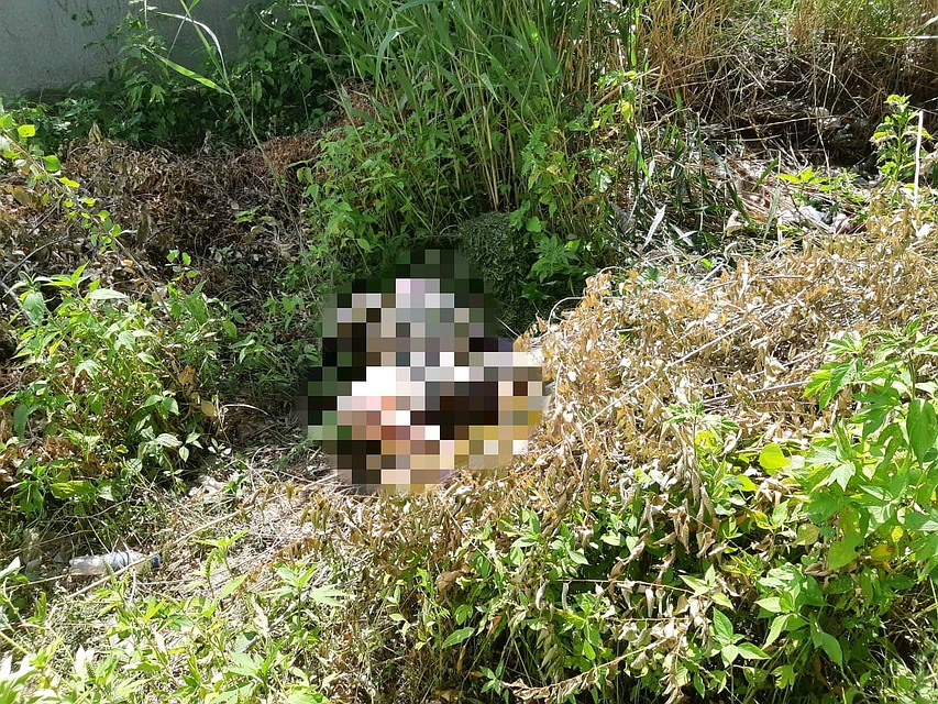 Труп нашел дворник Фото: СУ СКР по Саратовской области